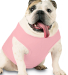 3902 Doggie Skins Baby Rib Tank Catalog