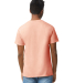 Gildan 5000 G500 Heavy Weight Cotton T-Shirt in Dusty rose