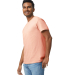 Gildan 5000 G500 Heavy Weight Cotton T-Shirt in Dusty rose