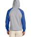 96CR JERZEES - Nublend® Colorblocked Hooded Pullo in Oxford/ royal