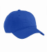 econscious EC7000 Organic Twill Dad Hat in Royal